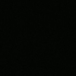 Meet your Posher, Omar